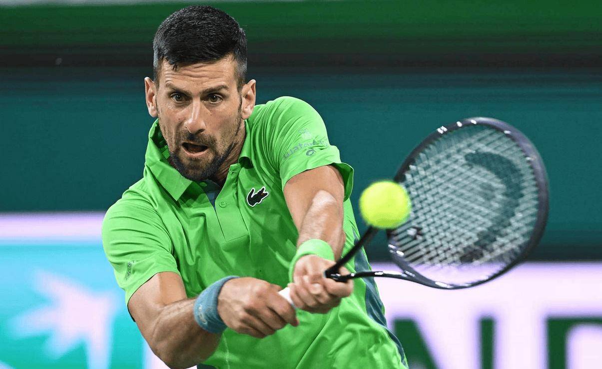 法国网球队力克日本网球队，费德勒一己之力扛起全队的简单介绍